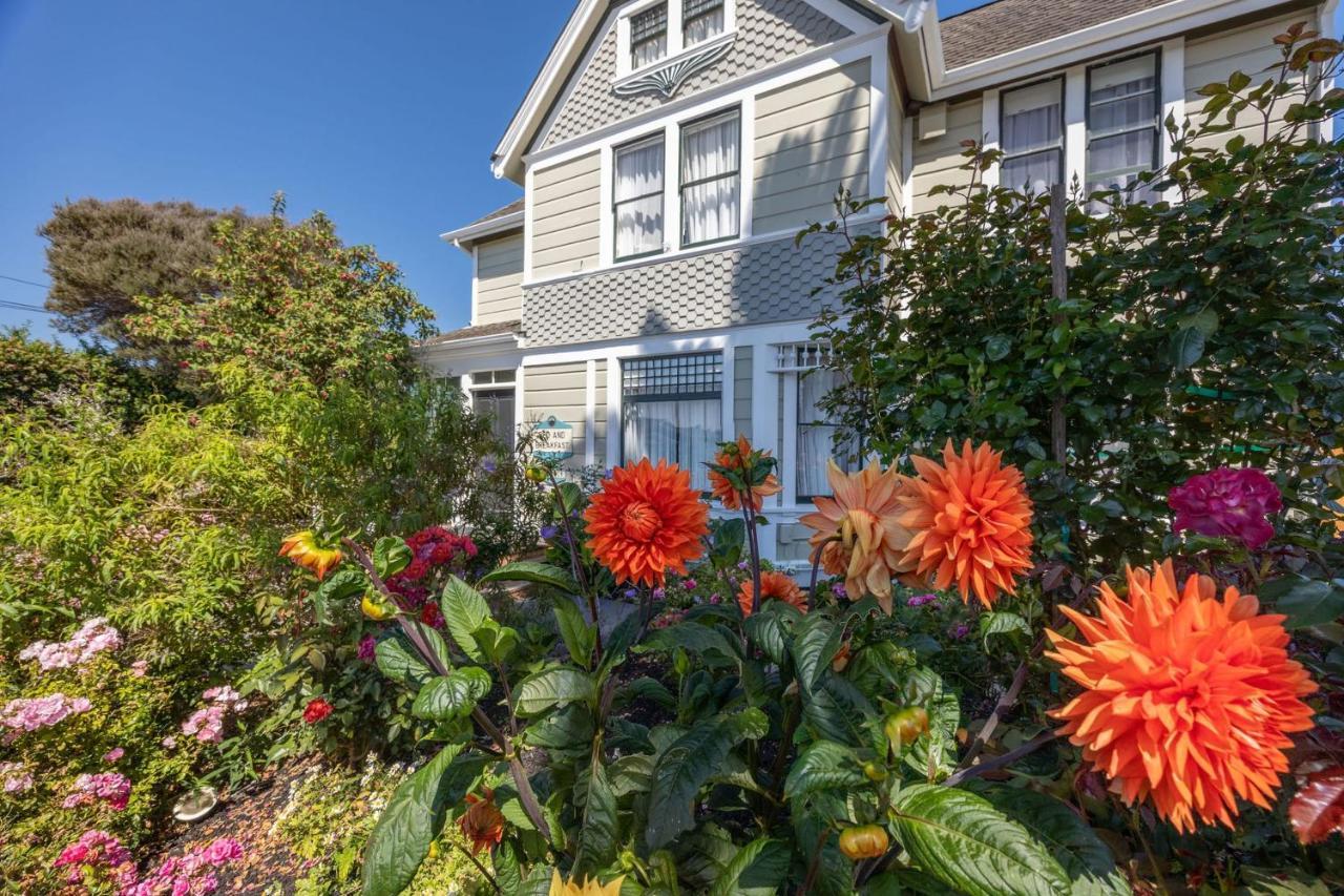 Nantucket Penthouse - Walk To Restaurants Beaches Activies & So Much More Half Moon Bay Exterior foto